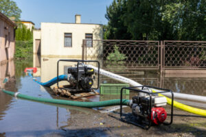 Usuwanie skutków nawałnicy, która 20 maja przeszła nad Gnieznem, 21.05.2024 r. (Paweł Jaskółka / PAP)