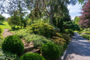 Alejka w Arboretum Wojsławice Ogrodzie Botanicznym Uniwersytetu Wrocławskiego w Niemczy, 28.05.2024 r. (Maciej Kulczyński / PAP)