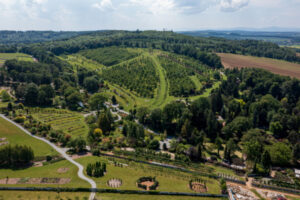 Arboretum Wojsławice Ogród Botaniczny Uniwersytetu Wrocławskiego w Niemczy, 28.05.2024 r. (Maciej Kulczyński / PAP)