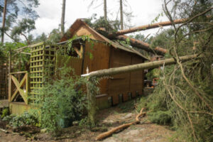 Zniszczenia po przejściu trąby powietrznej na terenie ośrodka wypoczynkowego nad jeziorem Serwent w miejscowości Purda k. Olsztyna, 12.07.2024 r. (Tomasz Waszczuk / PAP)