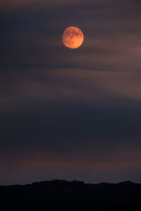 Księżyc nad Oliveira de Azeméis, Portugalia, 16.09.2024 r. (ESTELA SILVA/PAP/EPA)