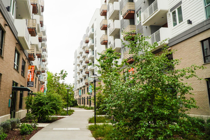 Prof. Rouba o zalewaniu dróg w miastach: Trawniki położone niżej jezdni i przedogródki odebrałyby masy wody