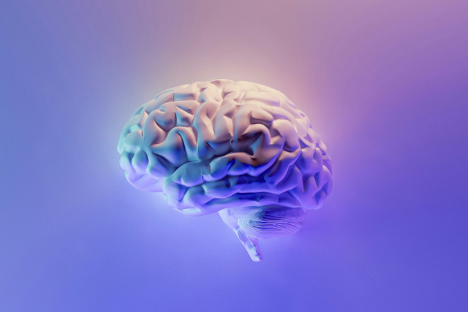 Tajna broń mózgu przed chorobą Alzheimera