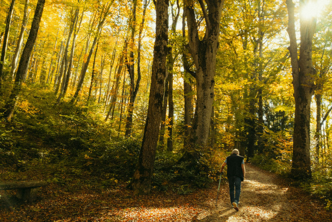 Starszy mężczyzna przewrócił się w lesie, spędził tam prawie 20 godzin. Dzięki trosce biegaczki otrzymał pomoc