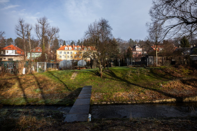 U dzieci poniżej 13. r.ż. sąd prowadzi postępowanie ws. o demoralizację, a nie o czyn karalny – mówi ekspertka