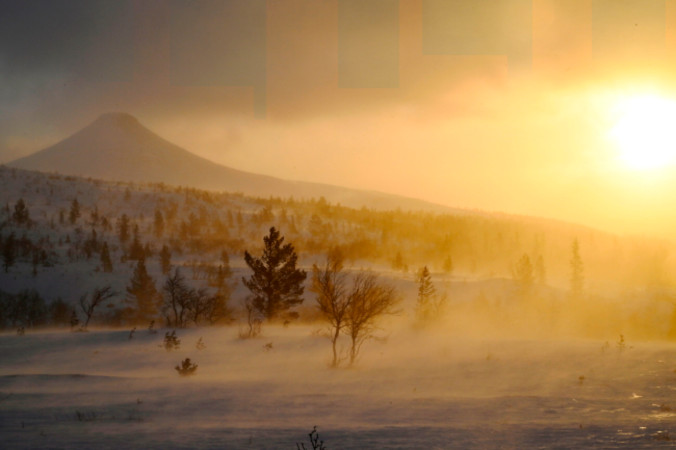 Sztorm w Szwecji. Powalone drzewo przygniotło mężczyznę, tysiące gospodarstw domowych bez prądu