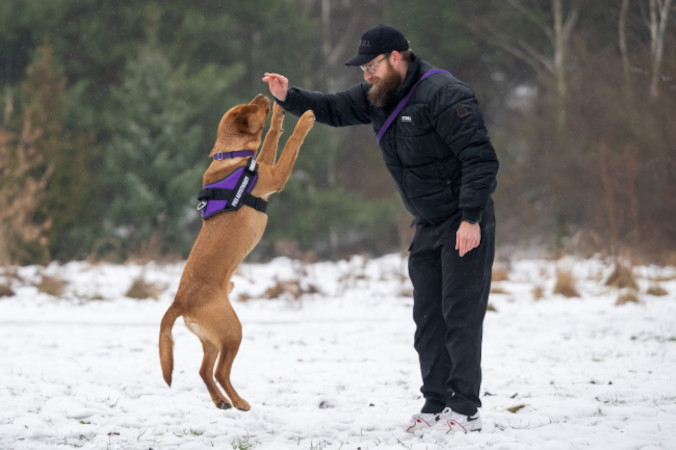 Pies asystujący wspiera weterana misji w Afganistanie w terapii PTSD