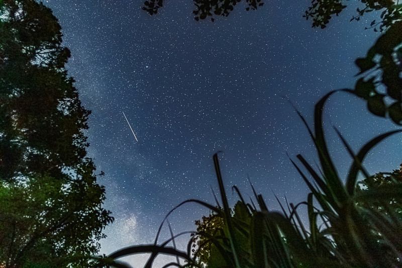 Dziś przywitamy astronomiczną wiosnę