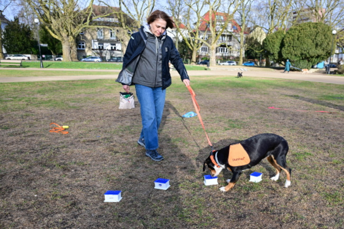 Psy ratują chorych na cukrzycę. Reagują szybciej niż jakiekolwiek urządzenia pomiarowe – mówi behawiorystka