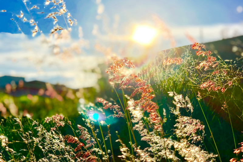 Nadchodzi wyż, a z nim słoneczna pogoda na święta – opowiada klimatolog